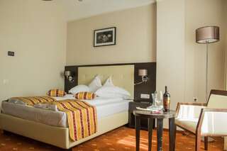 Отель Salis Hotel & Medical Spa Турда Стандартный двухместный номер с 1 кроватью-1